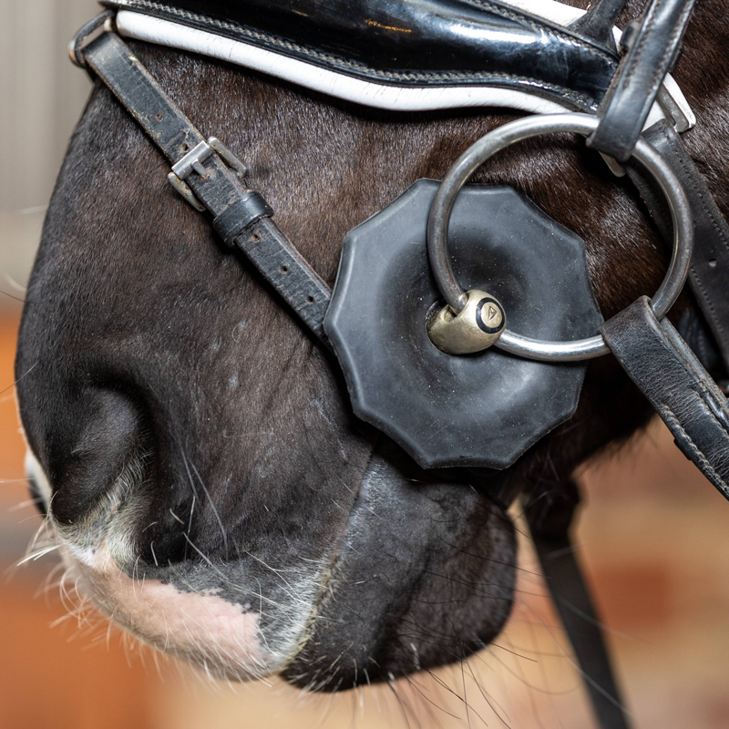 LeMieux Contoured Rubber Bit Guards-1